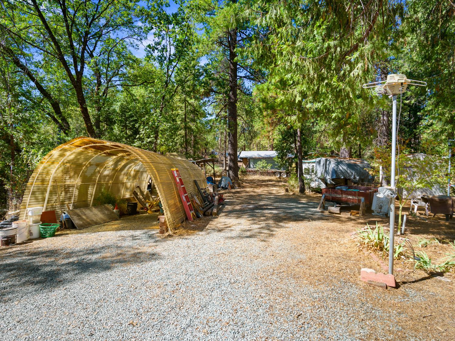 18960 Quailrun Fiddletown, CA 95629 - Photo 30 of 32 a view of a park with large trees