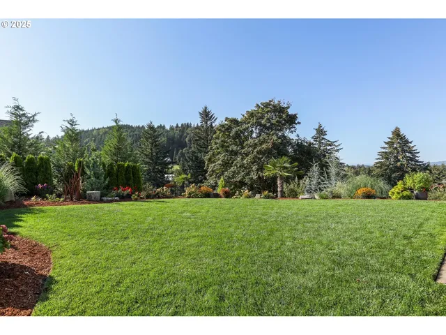 a view of a field with trees in the background