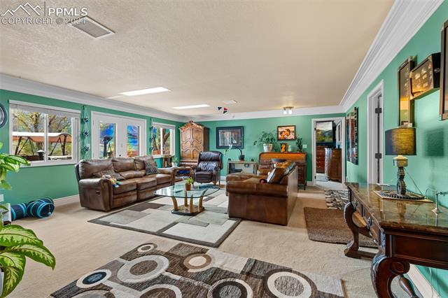 807 Fontmore Road Colorado Springs, CO 80904 - Photo 14 of 50 Living room with crown molding, a textured ceiling, carpet, and french doors
