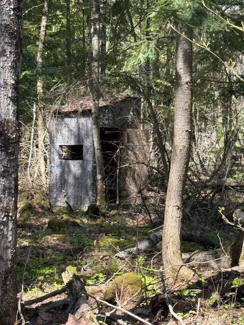 735 North Lakola Road Leroy, MI 49655 - Photo 12 of 15 IMG_5958