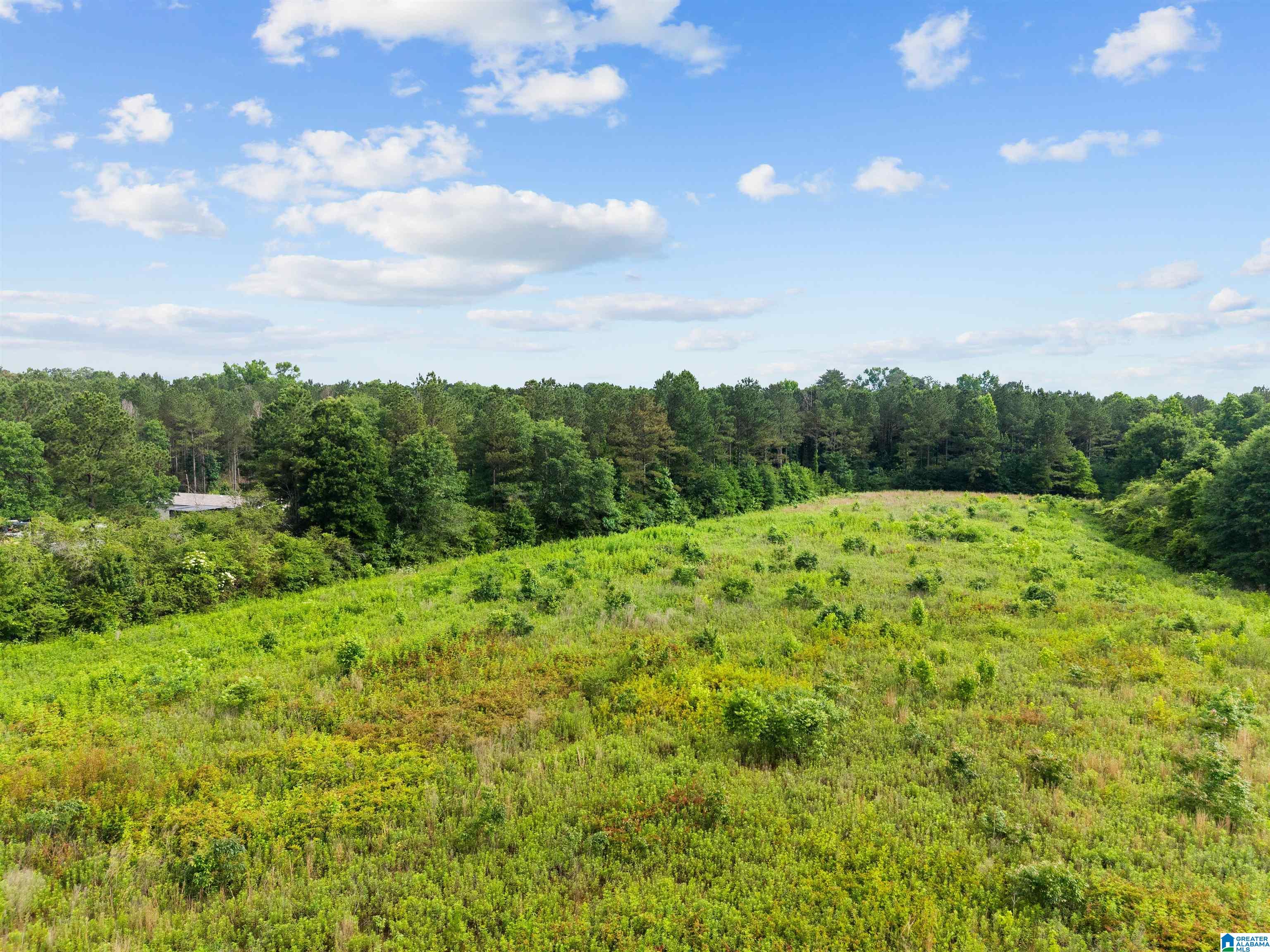 420 Reid Road Cullman, AL 35057 - Photo 40 of 40