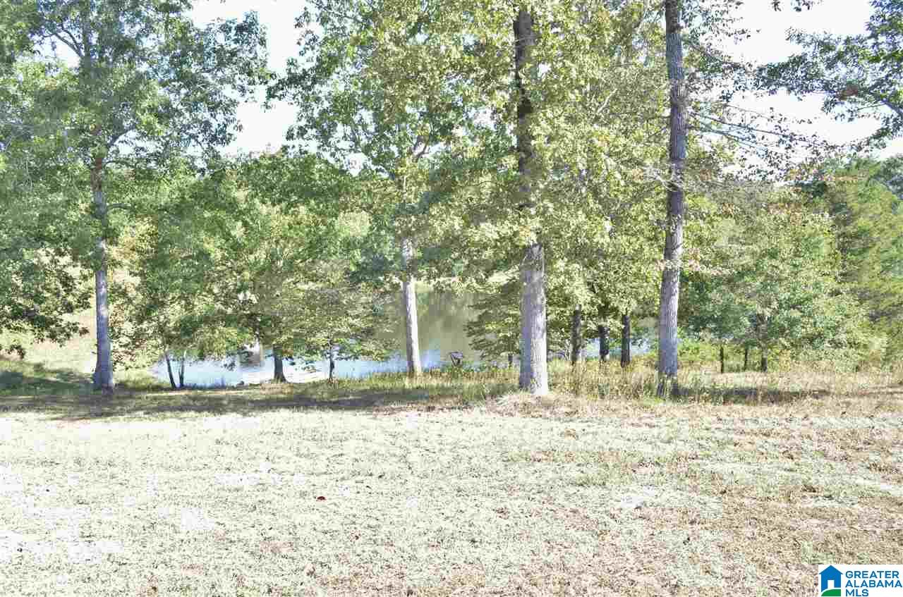 516 Wilson Mine Road Piedmont, AL 36272 - Photo 32 of 35