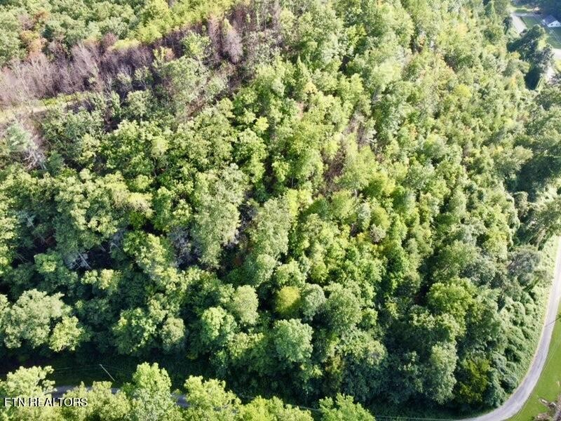 0 Lake Heights Road Tellico Plains, TN 37385 - Photo 4 of 11 Gallery Image 4