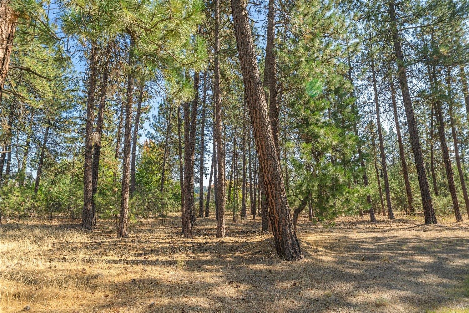 12704 North Ruby Road Spokane, WA 99218 - Photo 27 of 33