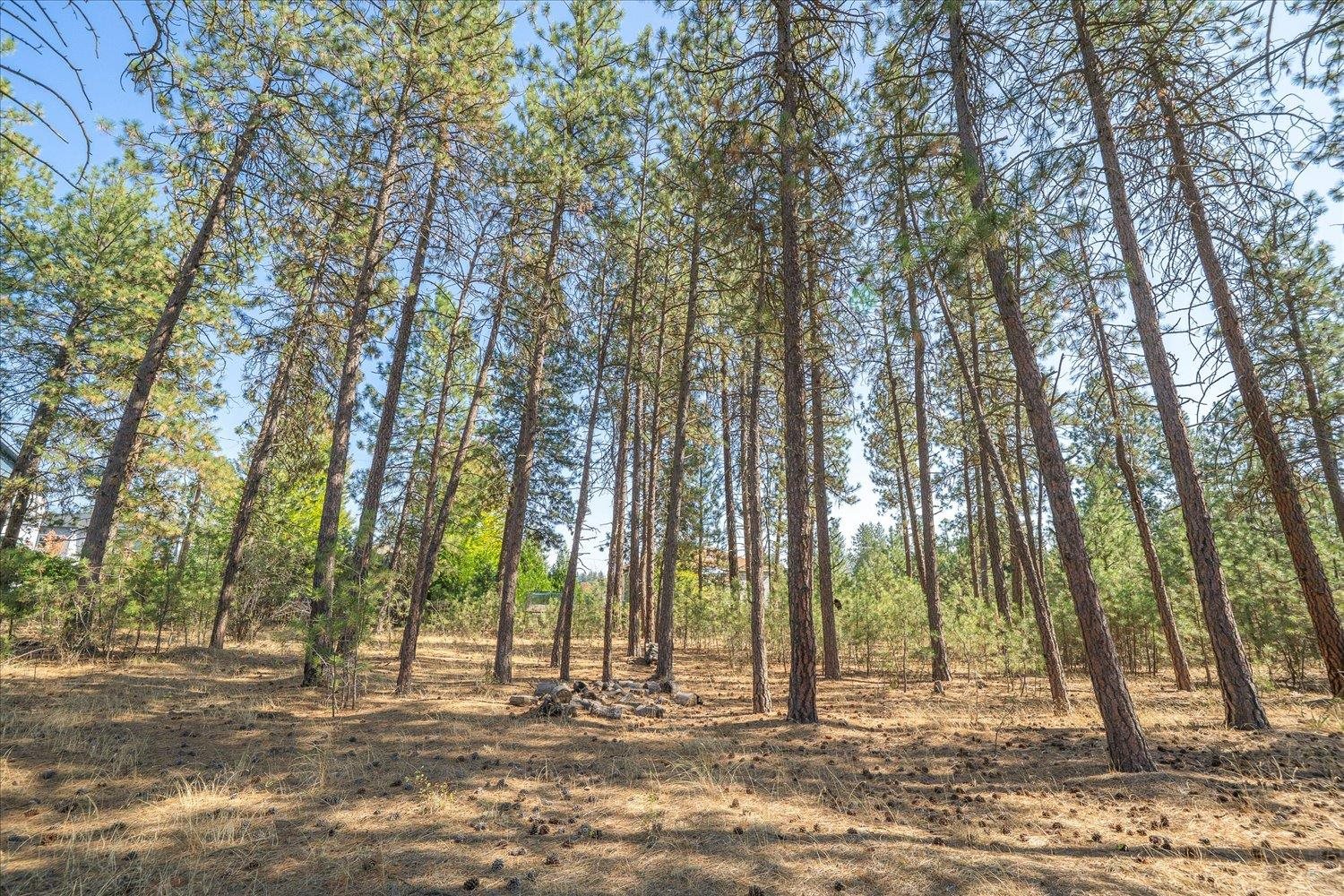 12704 North Ruby Road Spokane, WA 99218 - Photo 29 of 33