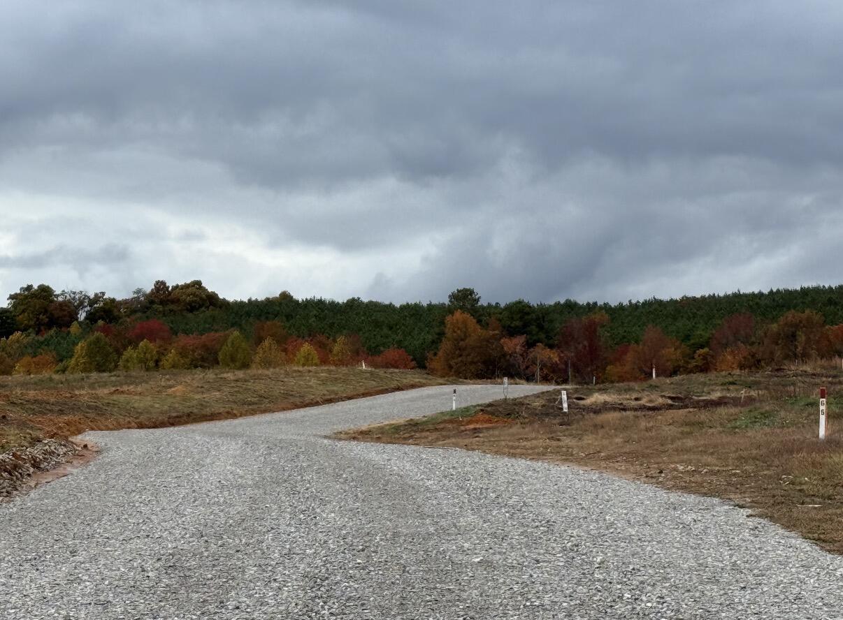 1060 Topside Road Louisville, TN 37777 - Photo 9 of 31 Entrance to LVR during the Color Change