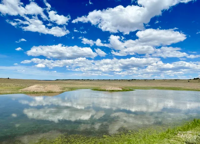 $3,900,000 | Mud Flat Road, Grand View, ID 83624