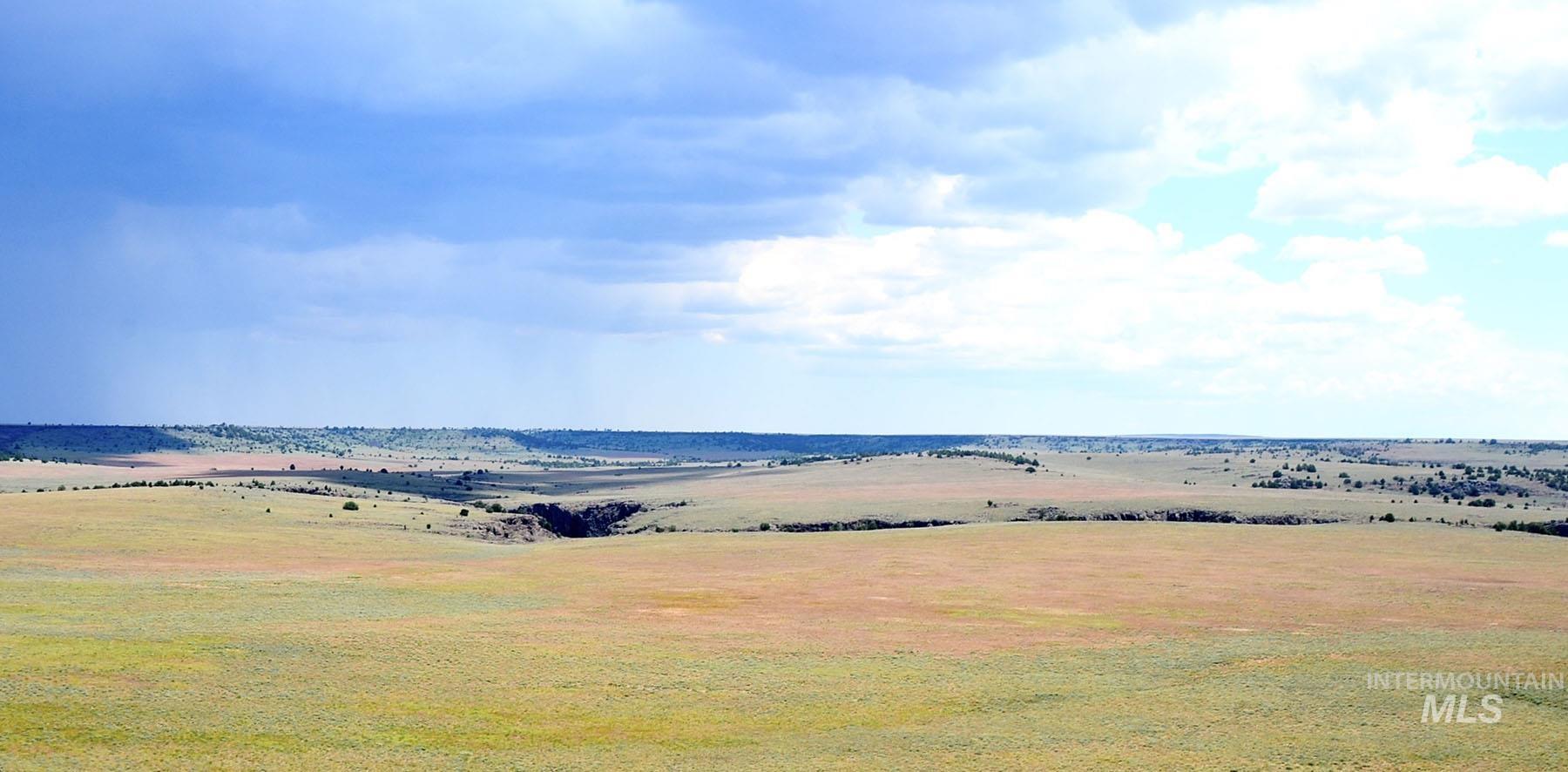 Mud Flat Road Grand View, ID 83624 - Photo 12 of 47