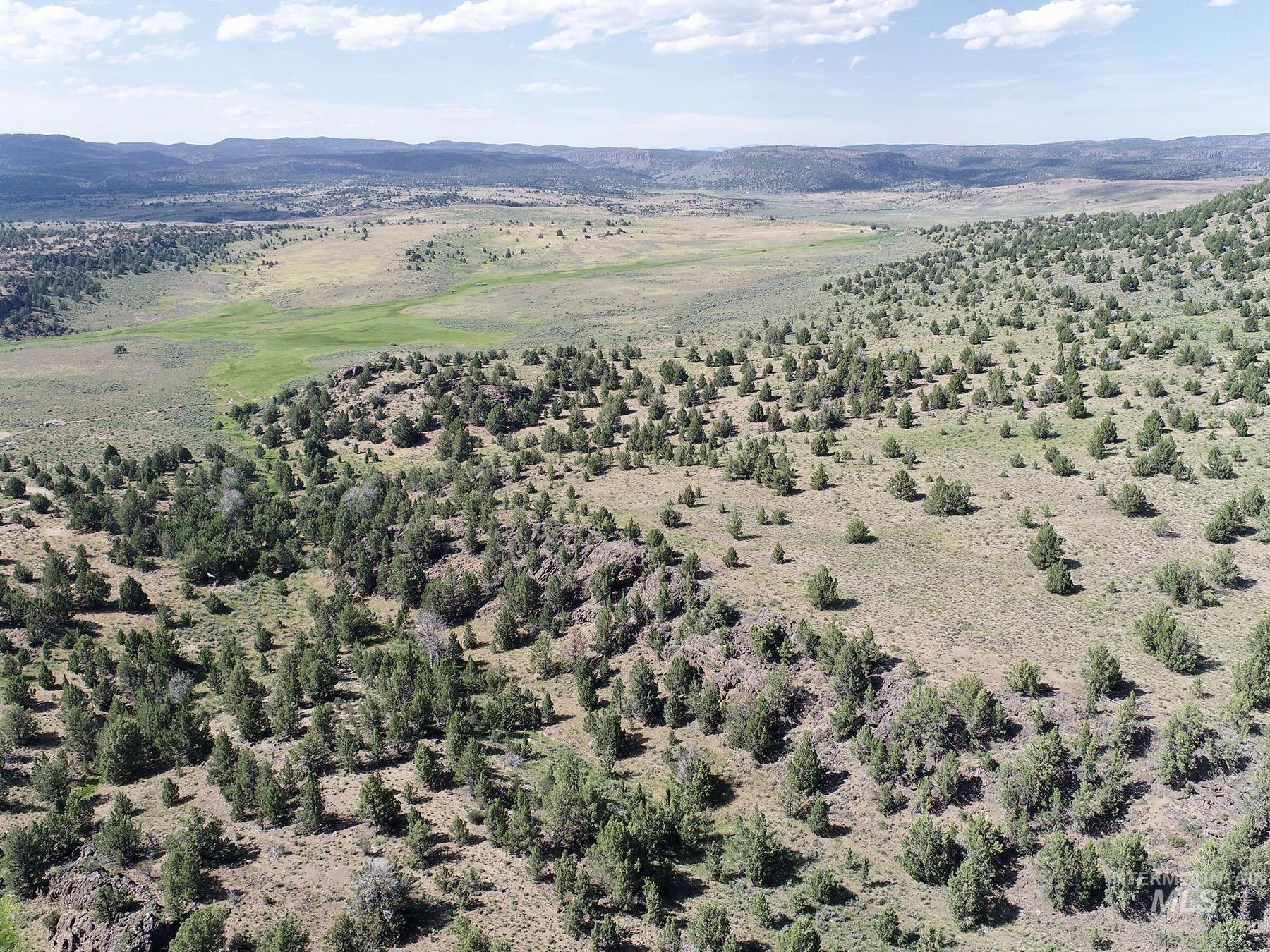 Mud Flat Road Grand View, ID 83624 - Photo 30 of 47