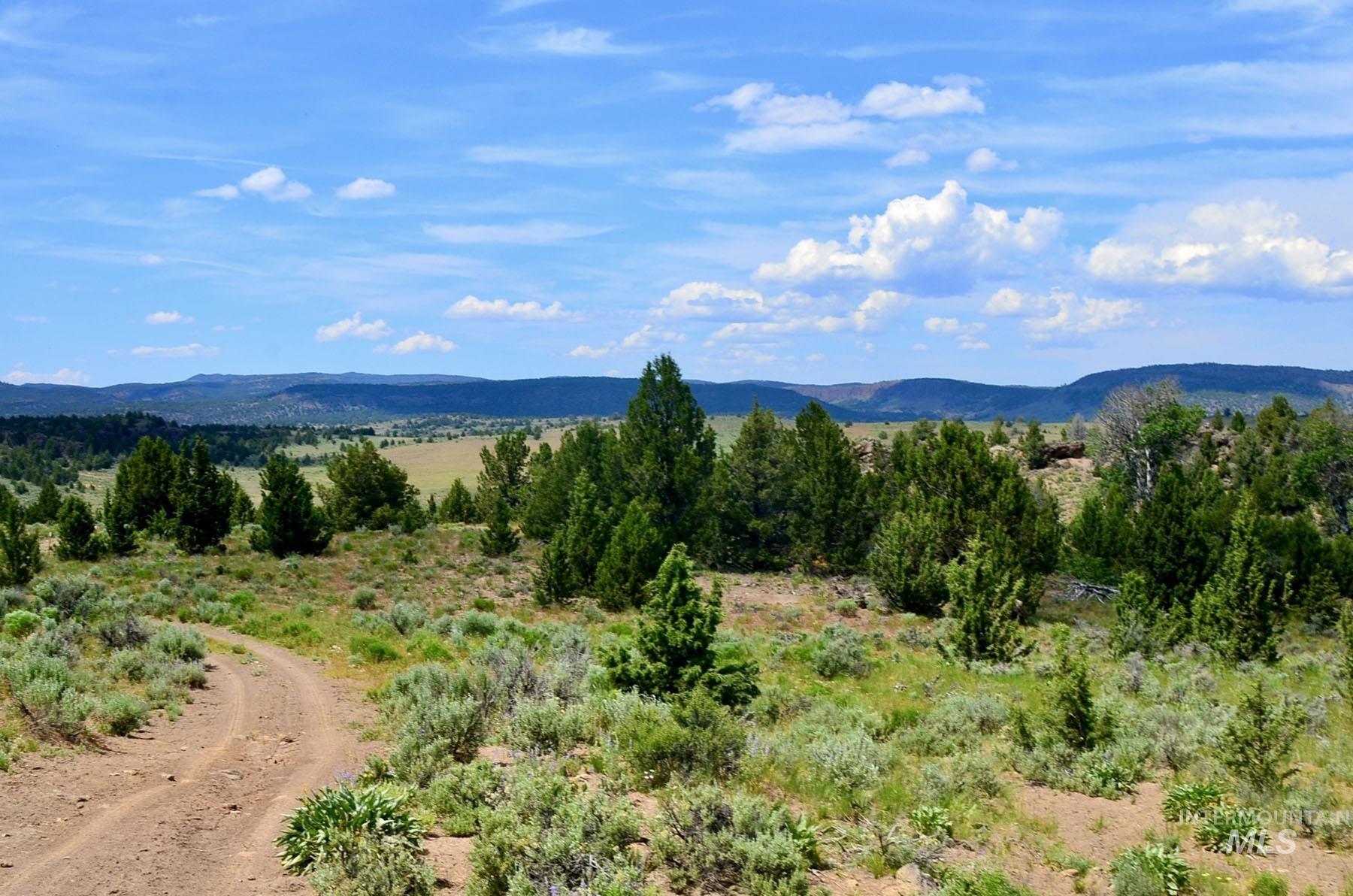 Mud Flat Road Grand View, ID 83624 - Photo 31 of 47