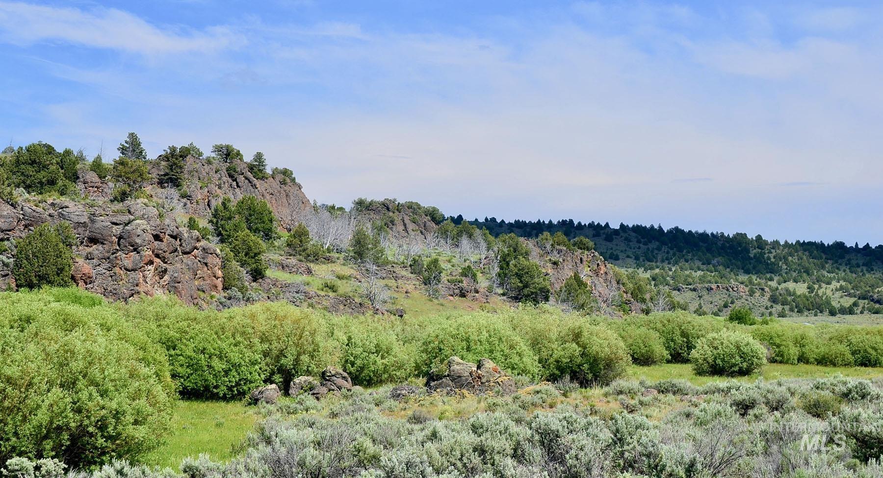 Mud Flat Road Grand View, ID 83624 - Photo 34 of 47