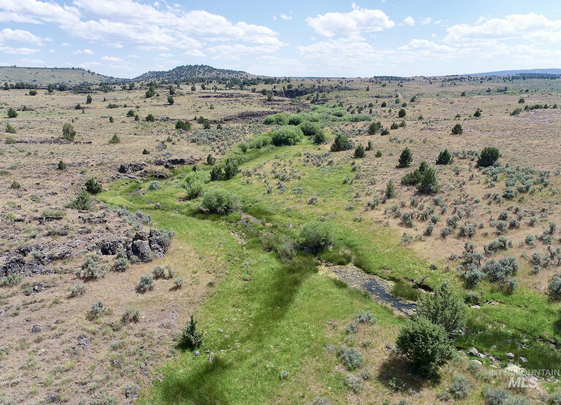 Mud Flat Road Grand View, ID 83624 - Photo 37 of 47