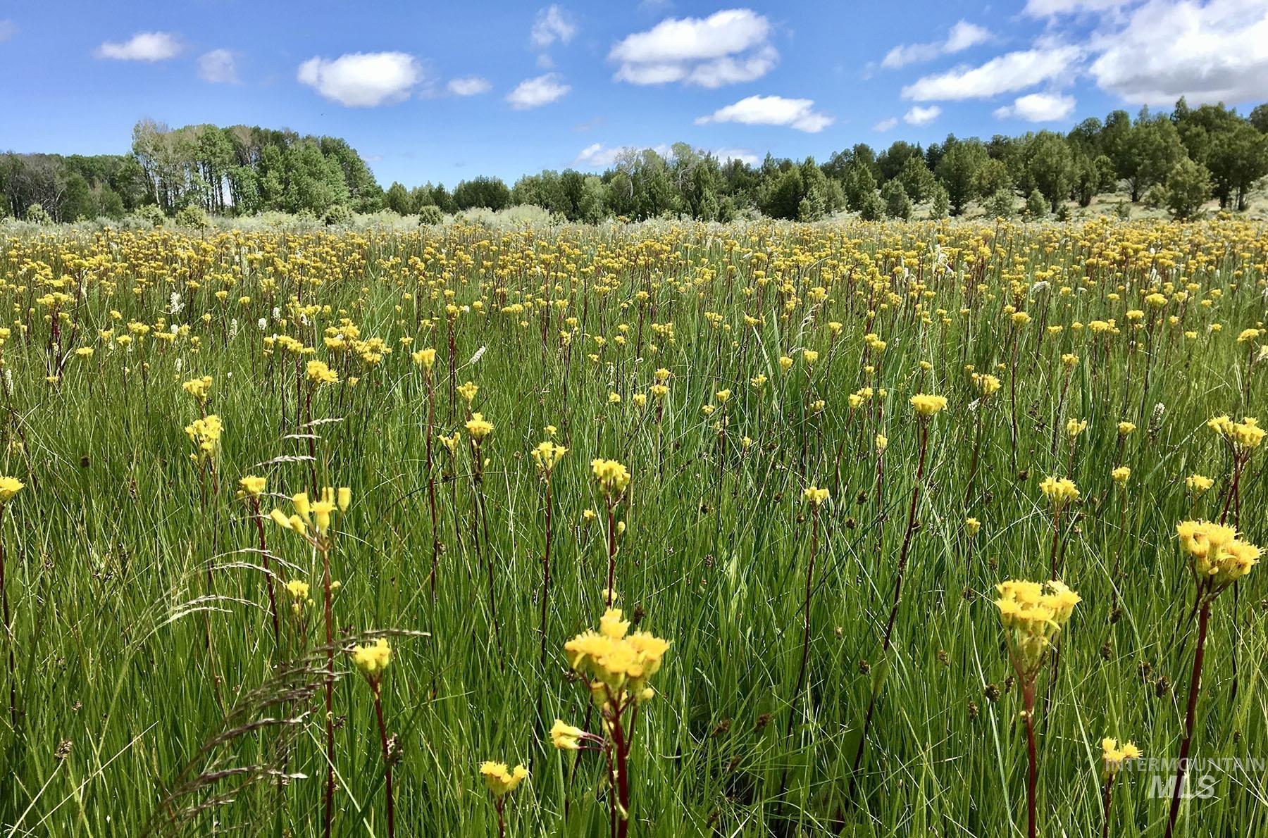 Mud Flat Road Grand View, ID 83624 - Photo 38 of 47