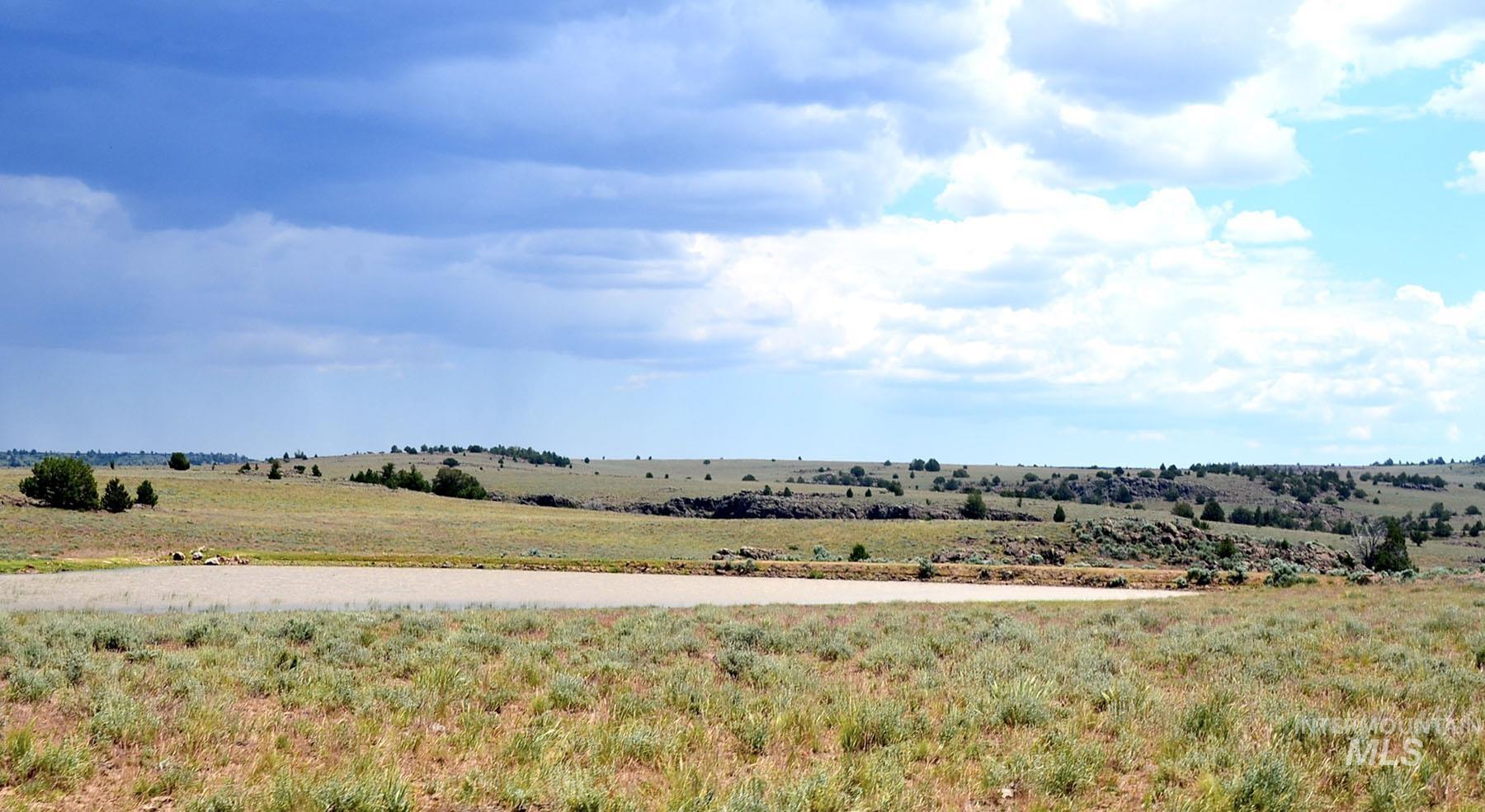 Mud Flat Road Grand View, ID 83624 - Photo 40 of 47