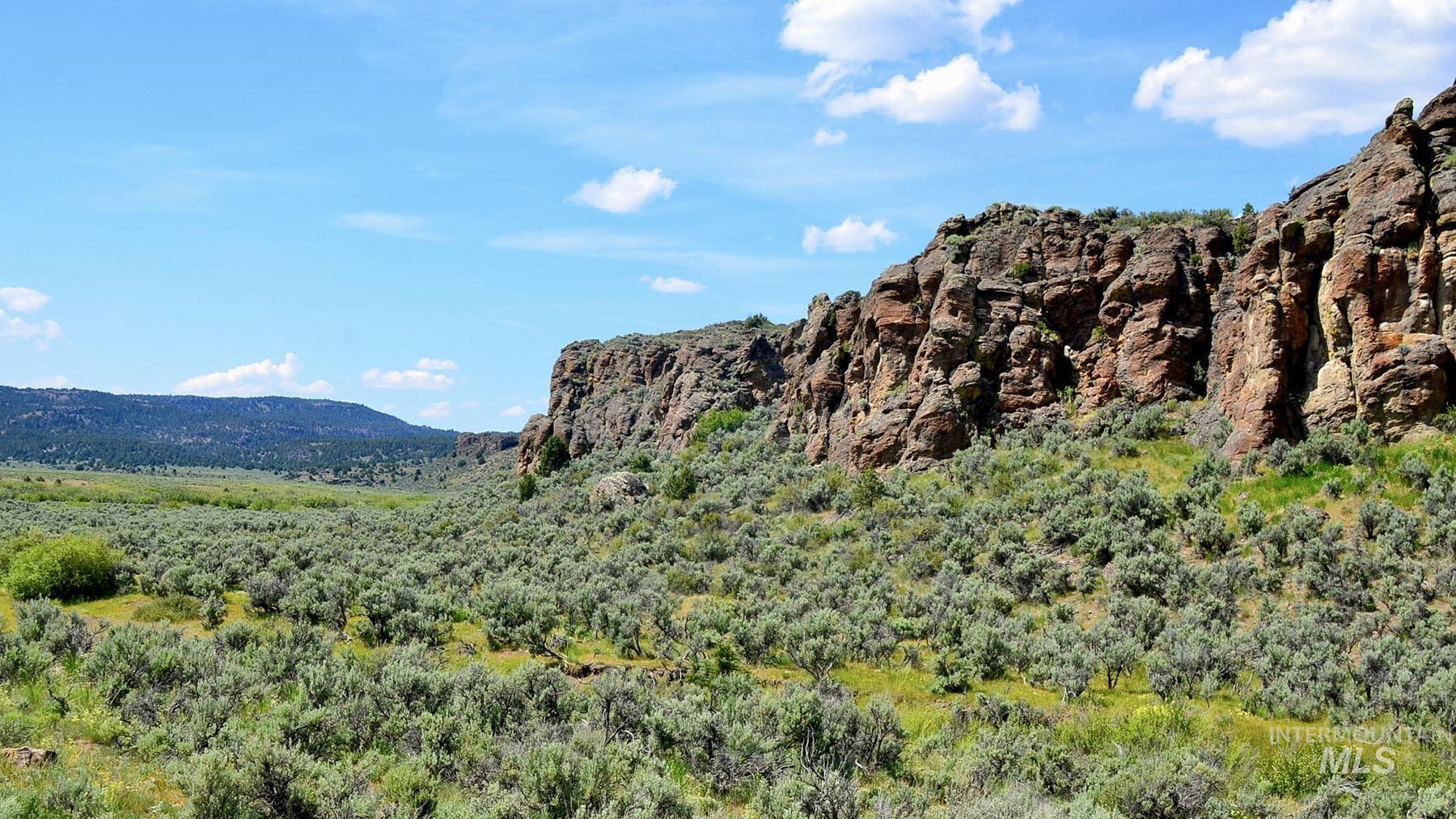 Mud Flat Road Grand View, ID 83624 - Photo 41 of 47
