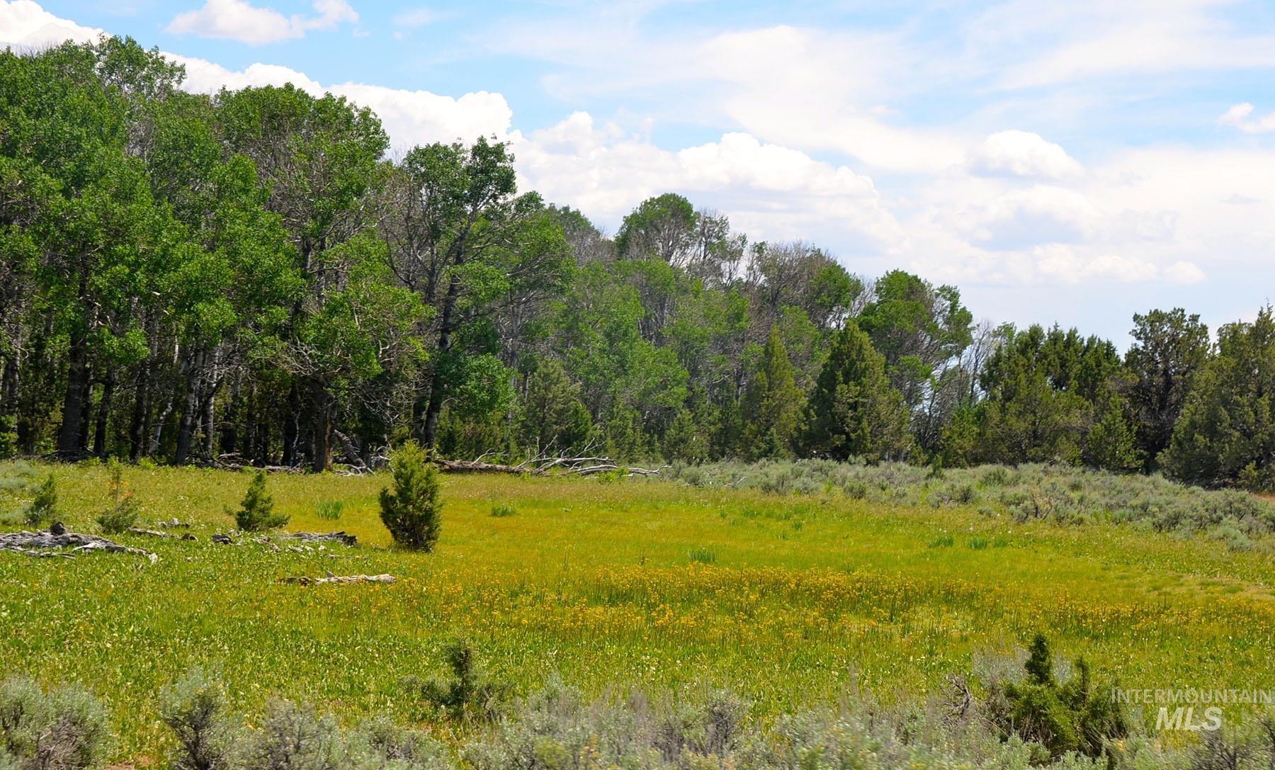 Mud Flat Road Grand View, ID 83624 - Photo 42 of 47