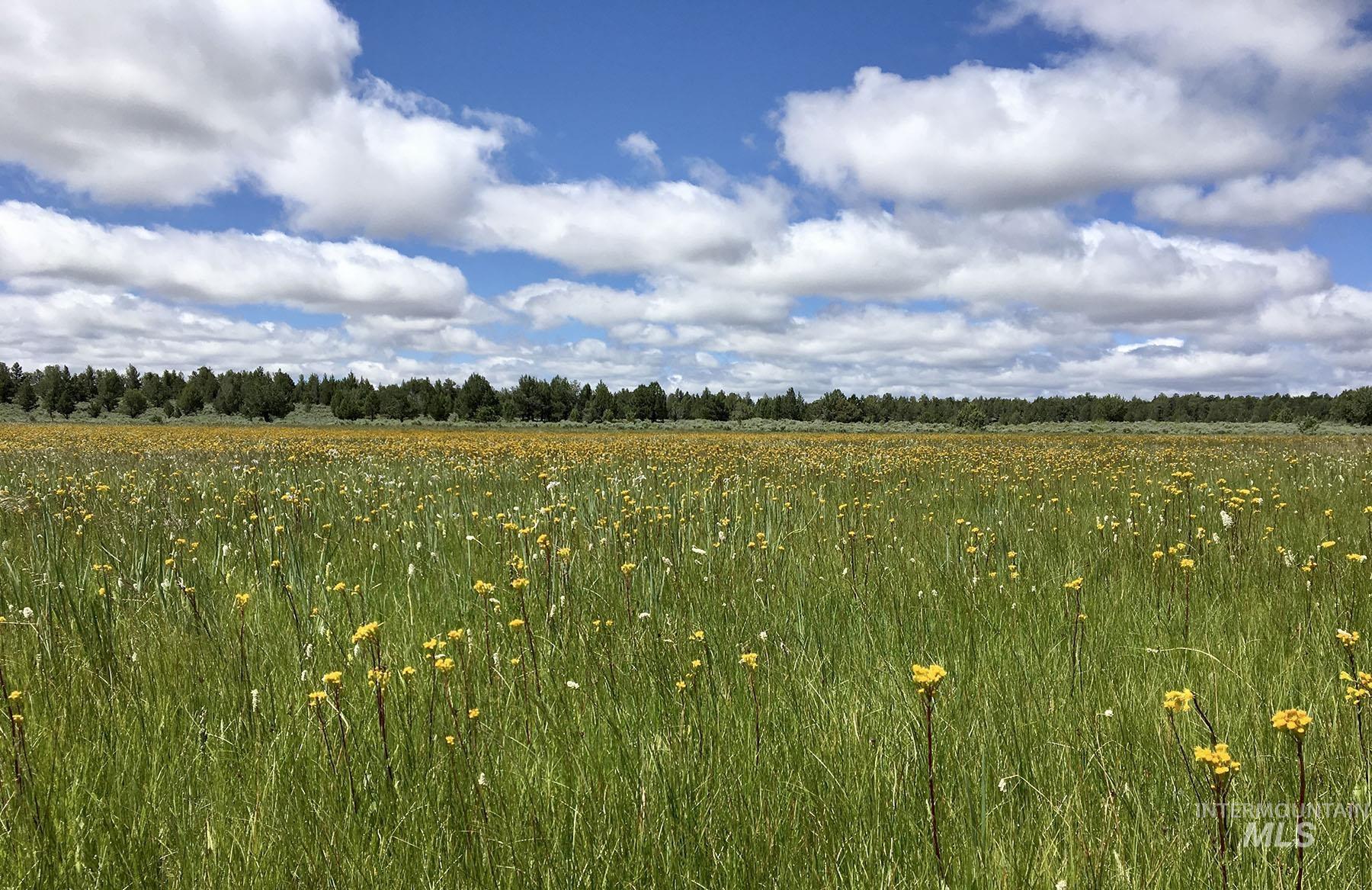 Mud Flat Road Grand View, ID 83624 - Photo 47 of 47
