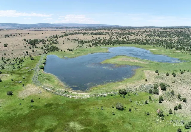 $3,900,000 | Mud Flat Road, Grand View, ID 83624