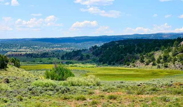 $3,900,000 | Mud Flat Road, Grand View, ID 83624
