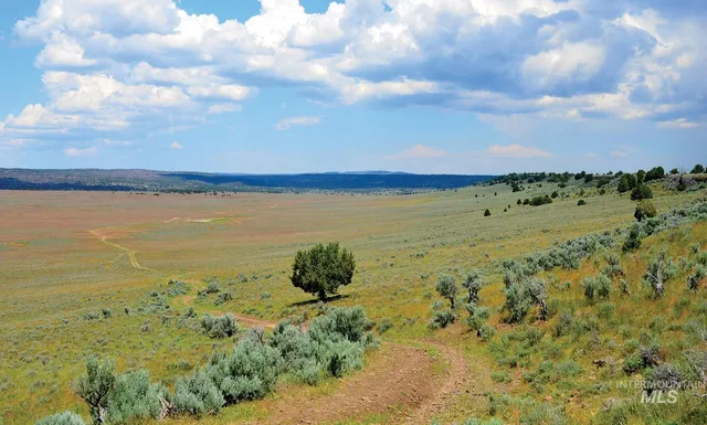 $3,900,000 | Mud Flat Road, Grand View, ID 83624