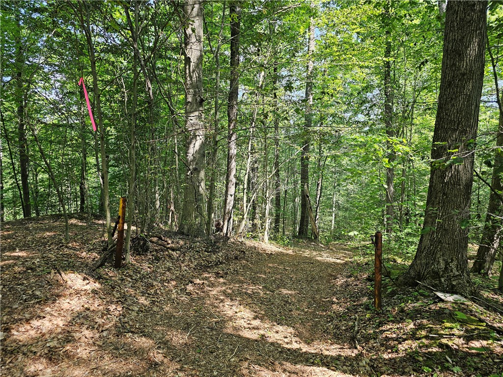 Cayward Road Prattsburgh, NY 14873 - Photo 3 of 8 Two steel Posts Mark Beginning of Property