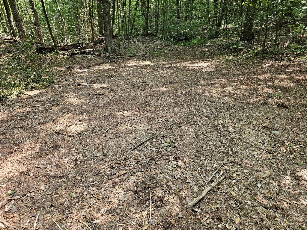 Cayward Road Prattsburgh, NY 14873 - Photo 5 of 8 Part of large clearing