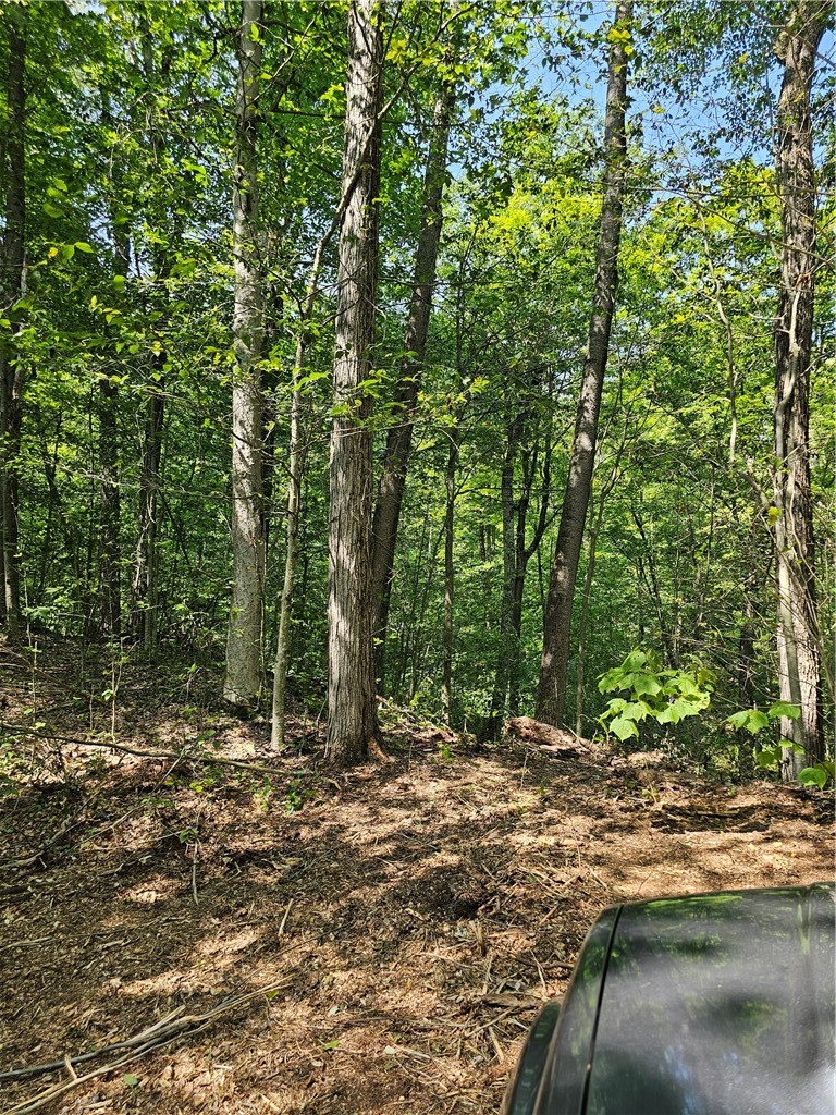 Cayward Road Prattsburgh, NY 14873 - Photo 7 of 8