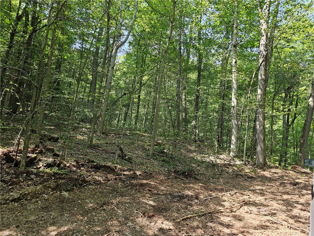 Cayward Road Prattsburgh, NY 14873 - Photo 8 of 8