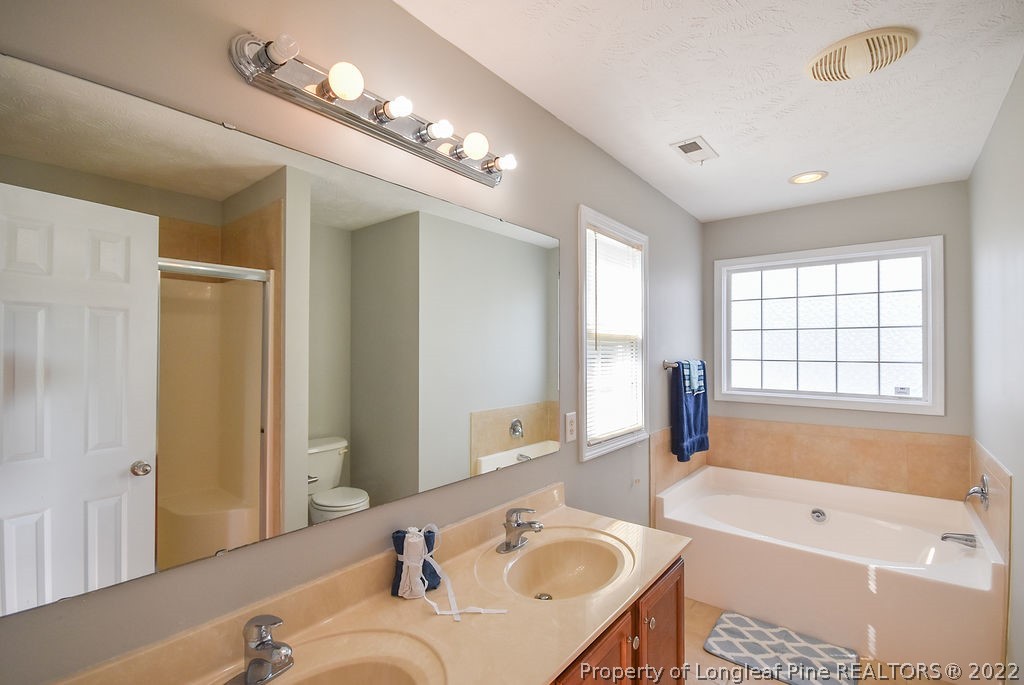 6700 Valley Falls Road Hope Mills, NC 28348 - Photo 29 of 48 a bathroom with a tub a sink and a large mirror