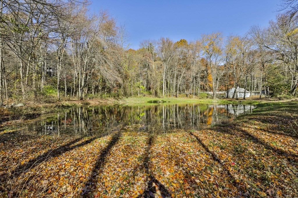 13 Haskell Lane Harvard, MA 01451 - Photo 5 of 39 a view of a yard with trees in the background