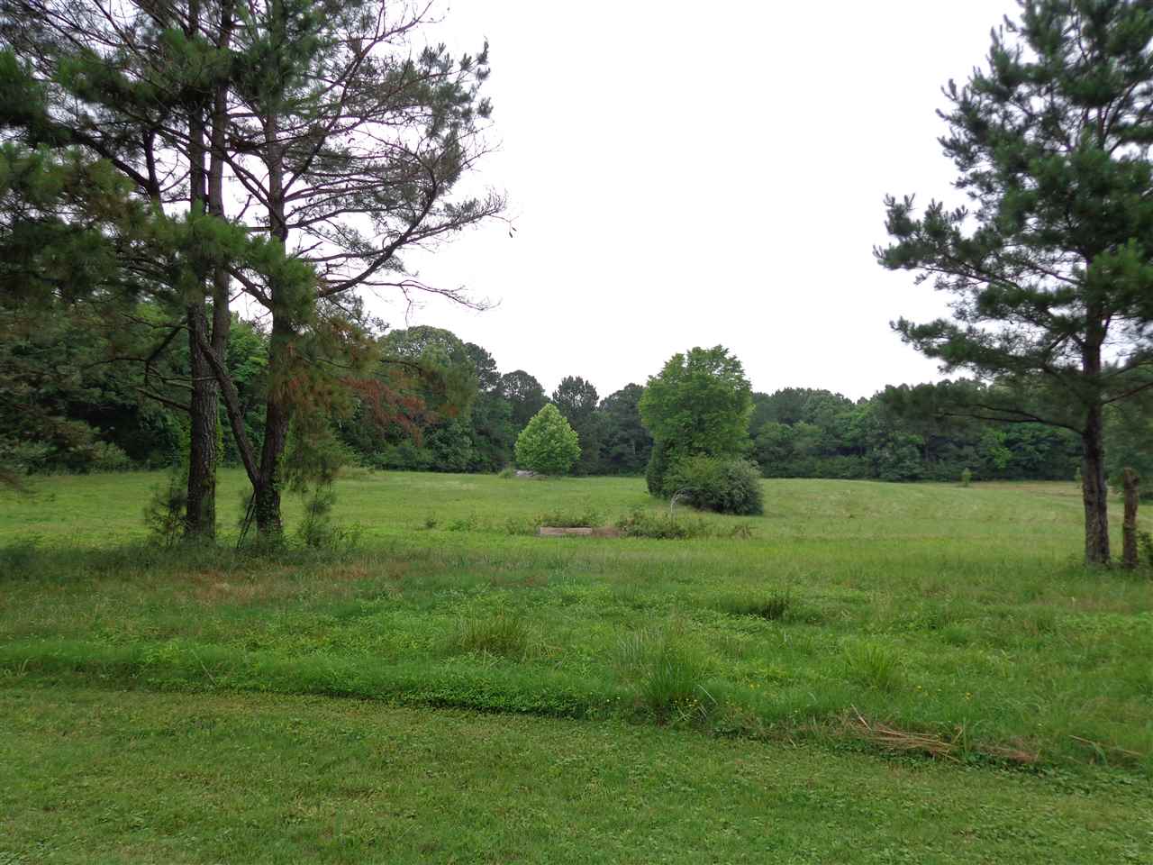 11804 Macon Road Eads, TN 38028 - Photo 3 of 8 Gallery Image 3