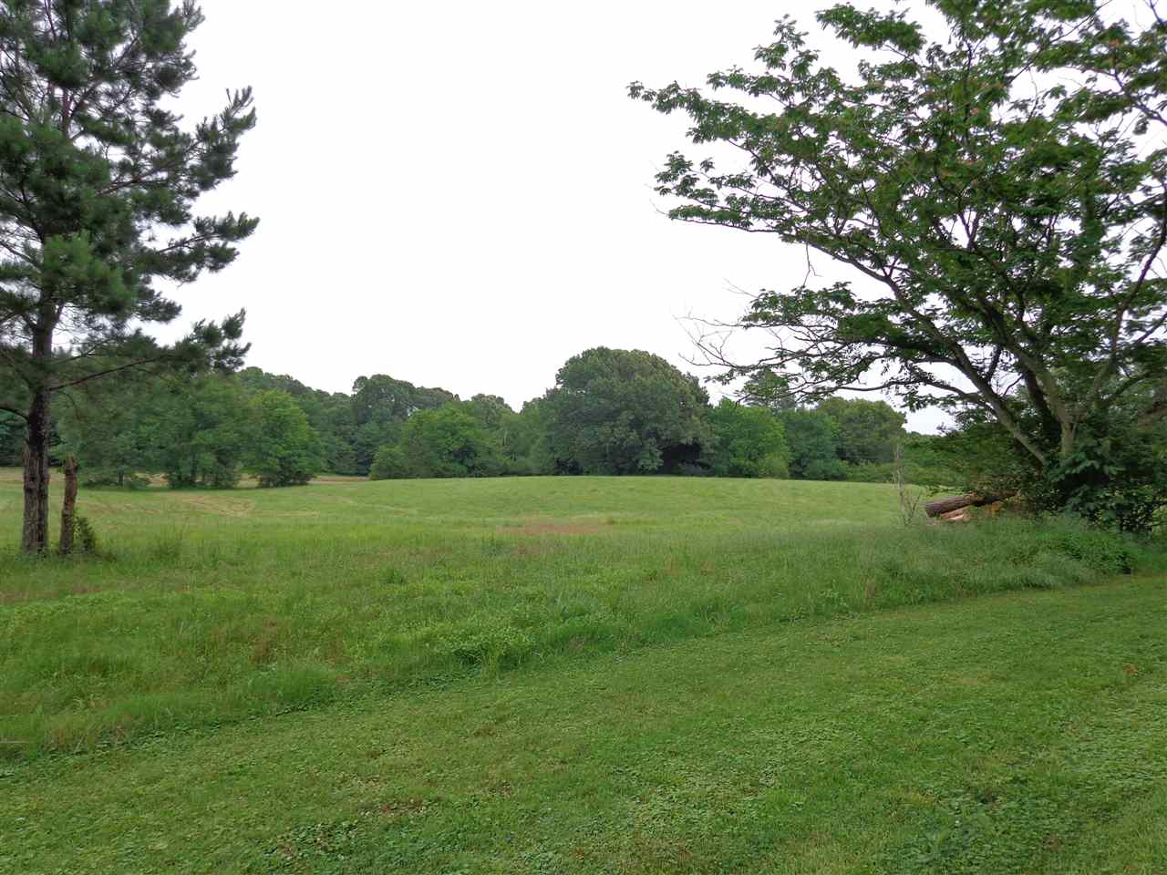 11804 Macon Road Eads, TN 38028 - Photo 4 of 8 Gallery Image 4