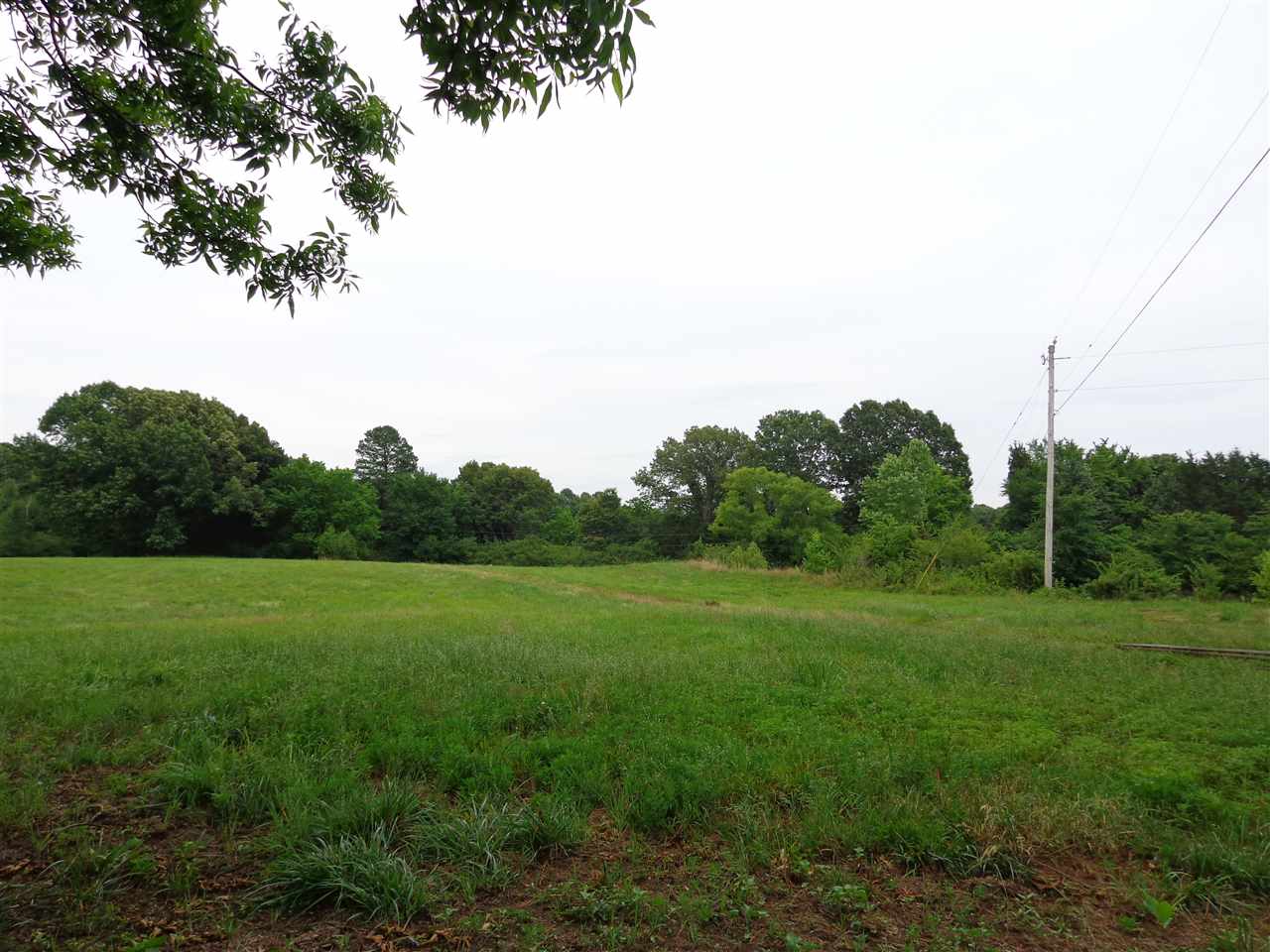 11804 Macon Road Eads, TN 38028 - Photo 5 of 8 Gallery Image 5