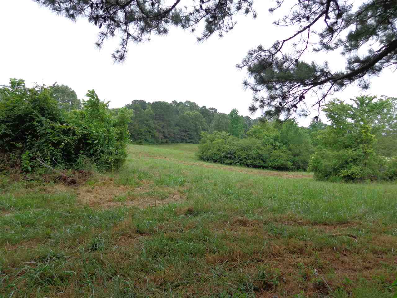 11804 Macon Road Eads, TN 38028 - Photo 6 of 8 Gallery Image 6