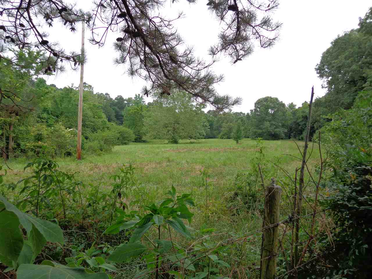 11804 Macon Road Eads, TN 38028 - Photo 7 of 8 Gallery Image 7