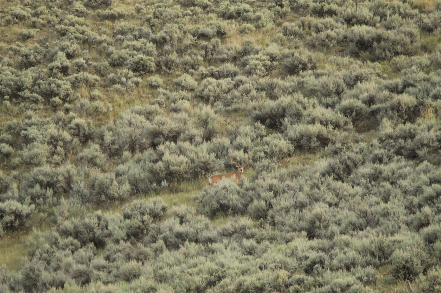 40 Highway 40 Craig, CO 81625 - Photo 12 of 23 a view of a covered with green field