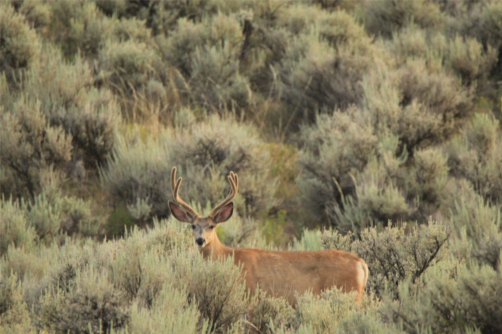 40 Highway 40 Craig, CO 81625 - Photo 15 of 23 a view of a yard