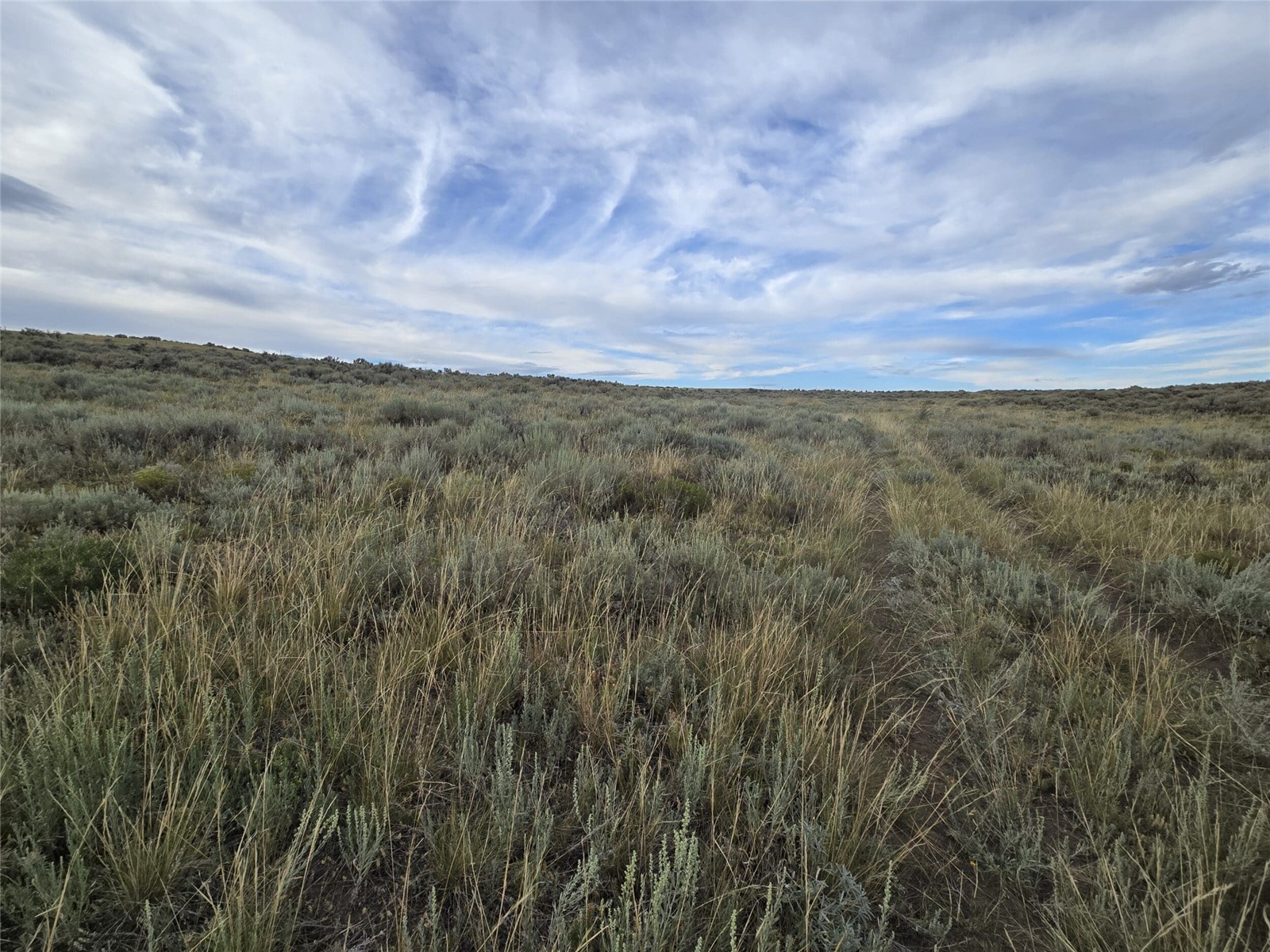 40 Highway 40 Craig, CO 81625 - Photo 18 of 23 a view of a field of grass and mountain