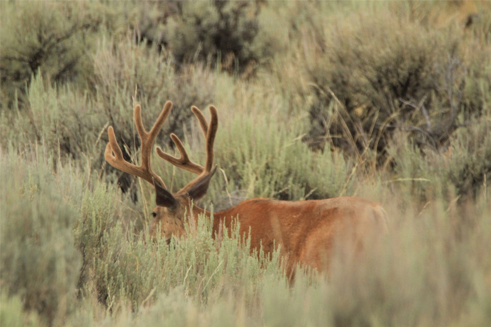 40 Highway 40 Craig, CO 81625 - Photo 10 of 23 a view of yard with green space