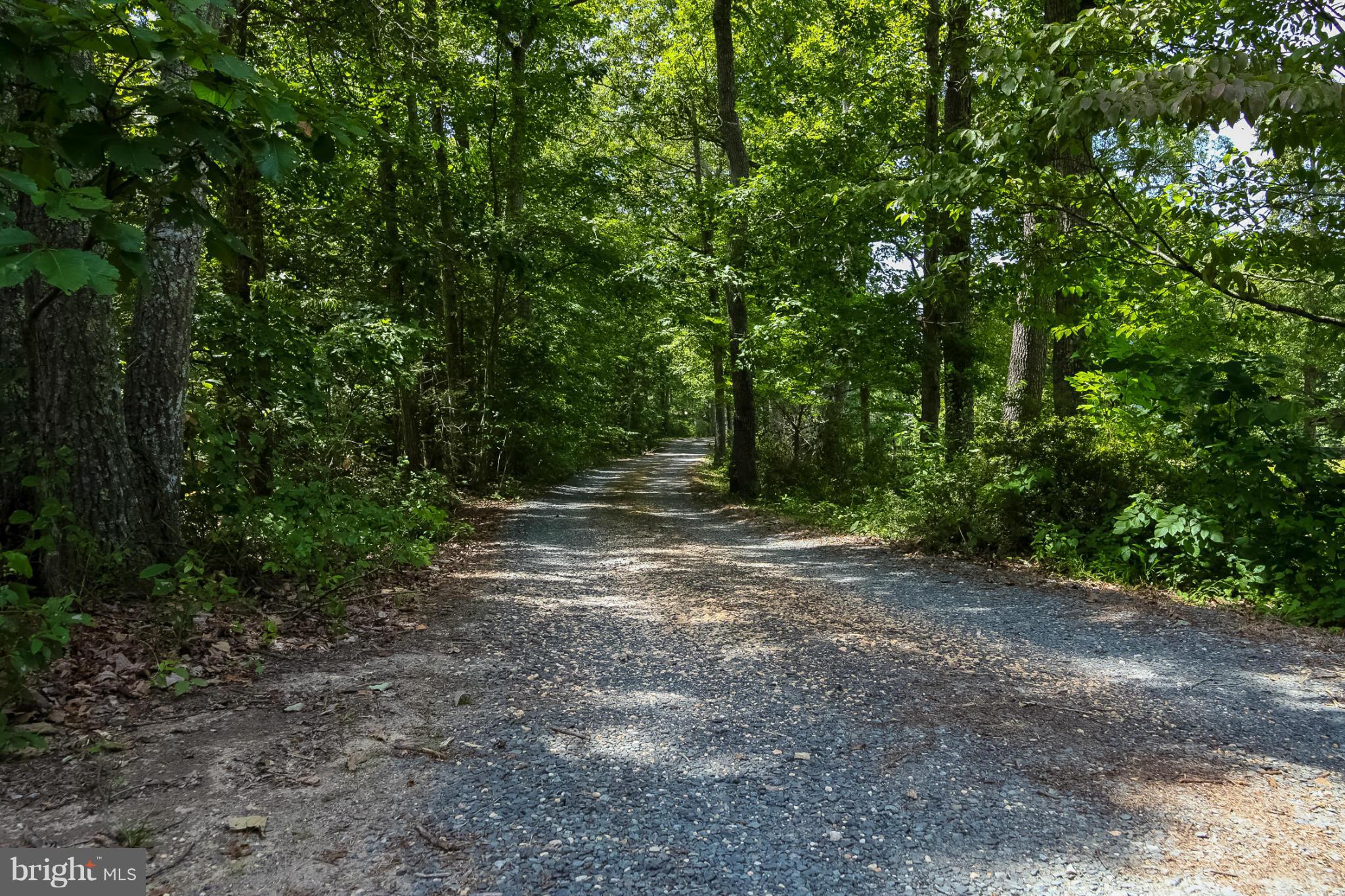 13088 Elk Ridge Road Fredericksburg, VA 22406 - Photo 2 of 30 Private Driveway