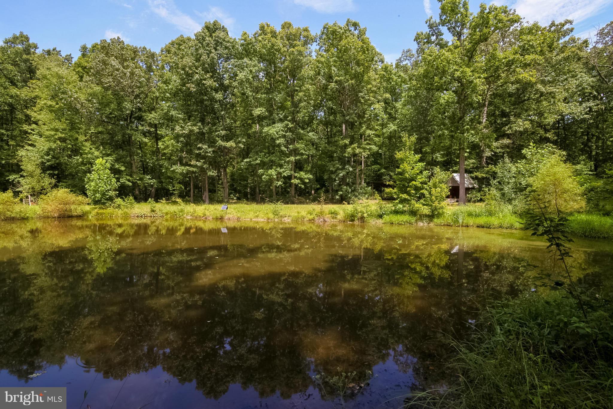 13088 Elk Ridge Road Fredericksburg, VA 22406 - Photo 25 of 30 Pond