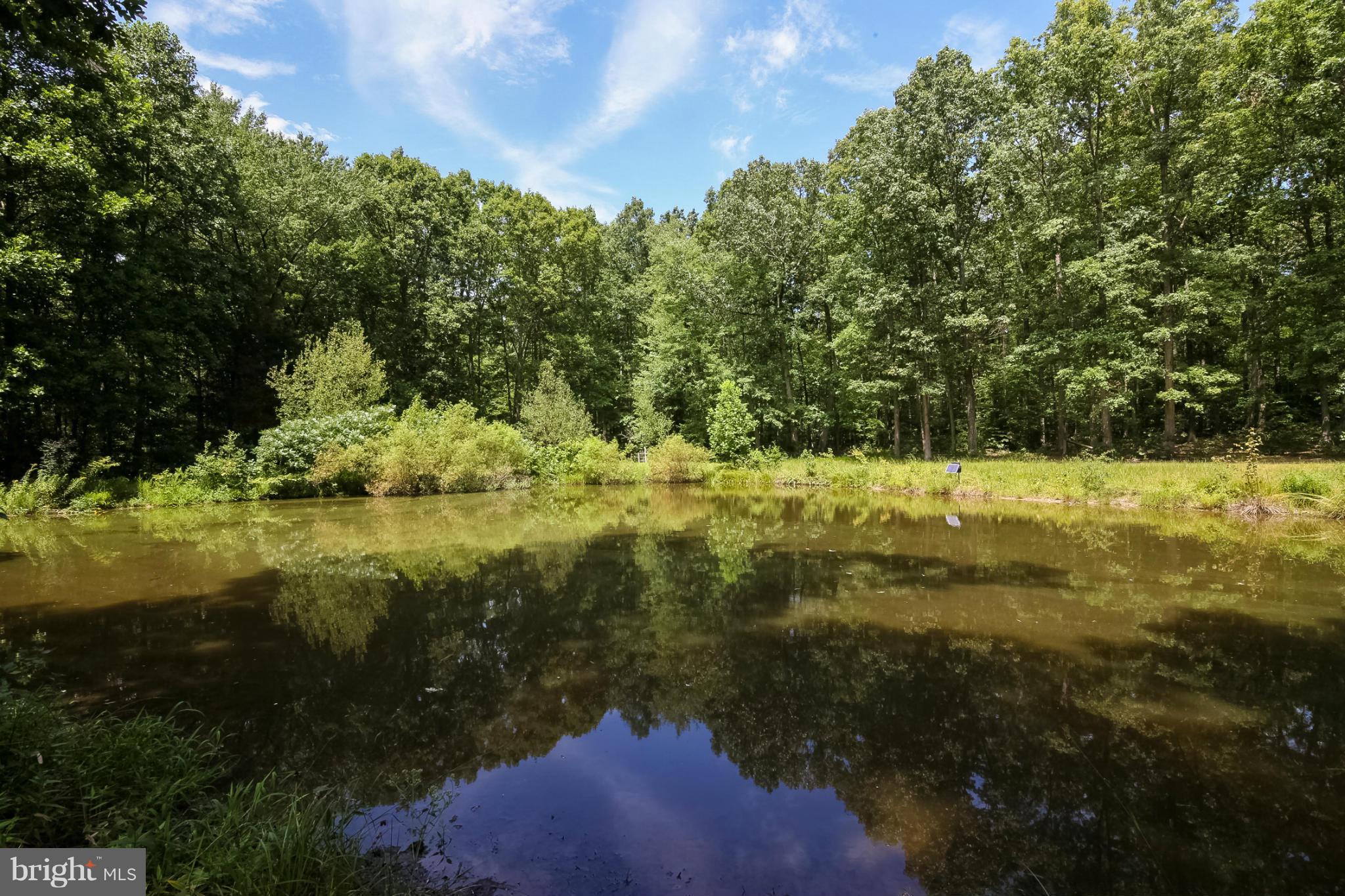 13088 Elk Ridge Road Fredericksburg, VA 22406 - Photo 4 of 30 Stocked Pond!!!