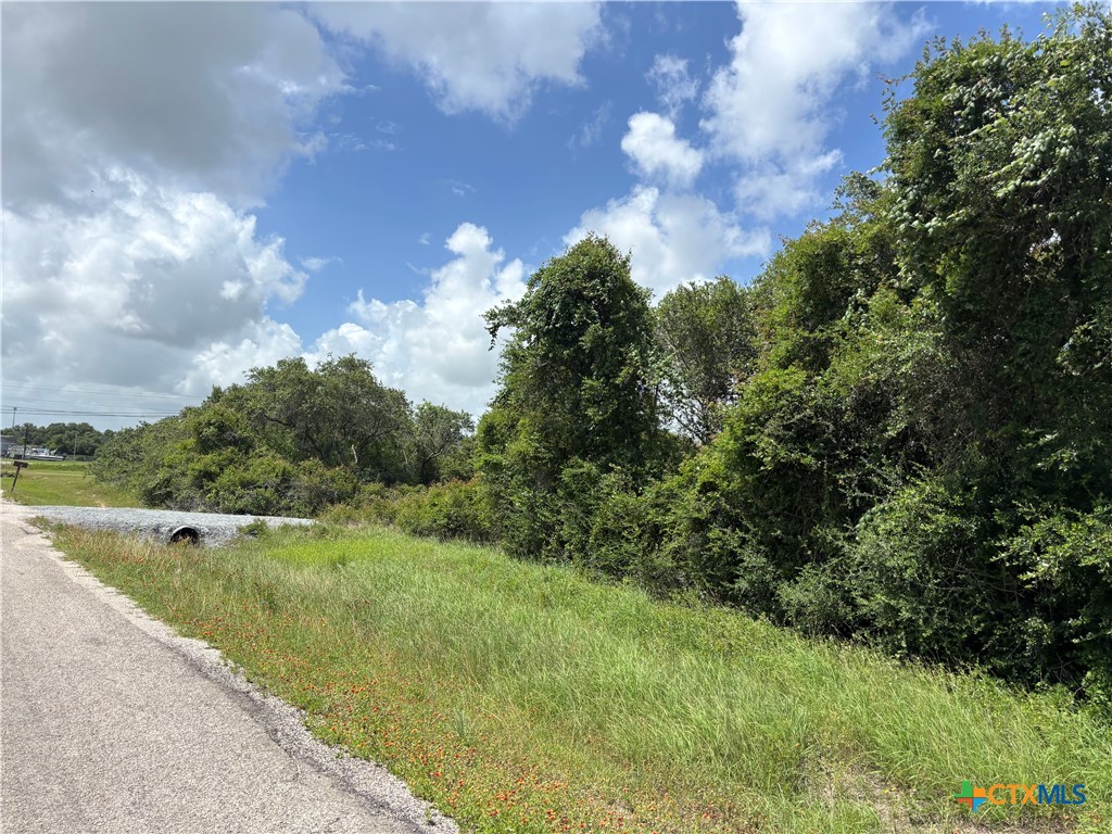 Tbd Harbor Road Seadrift, TX 77983 - Photo 11 of 16