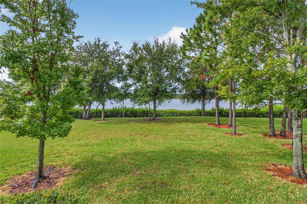 2007 Palm Key Avenue Oldsmar, FL 34677 - Photo 18 of 54 a view of a park with large trees