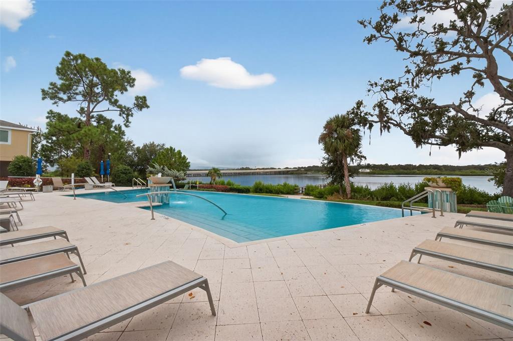 2007 Palm Key Avenue Oldsmar, FL 34677 - Photo 44 of 54