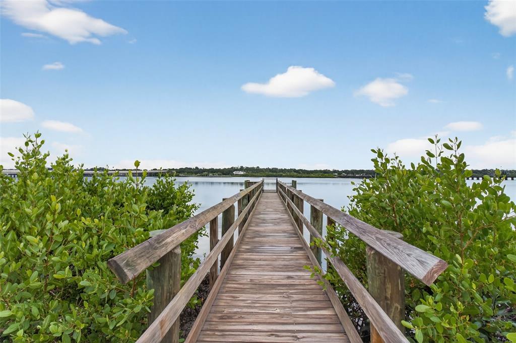 2007 Palm Key Avenue Oldsmar, FL 34677 - Photo 46 of 54 a view of balcony and yard