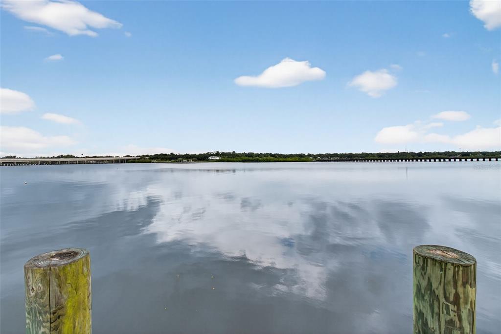 2007 Palm Key Avenue Oldsmar, FL 34677 - Photo 47 of 54 a view of a lake view
