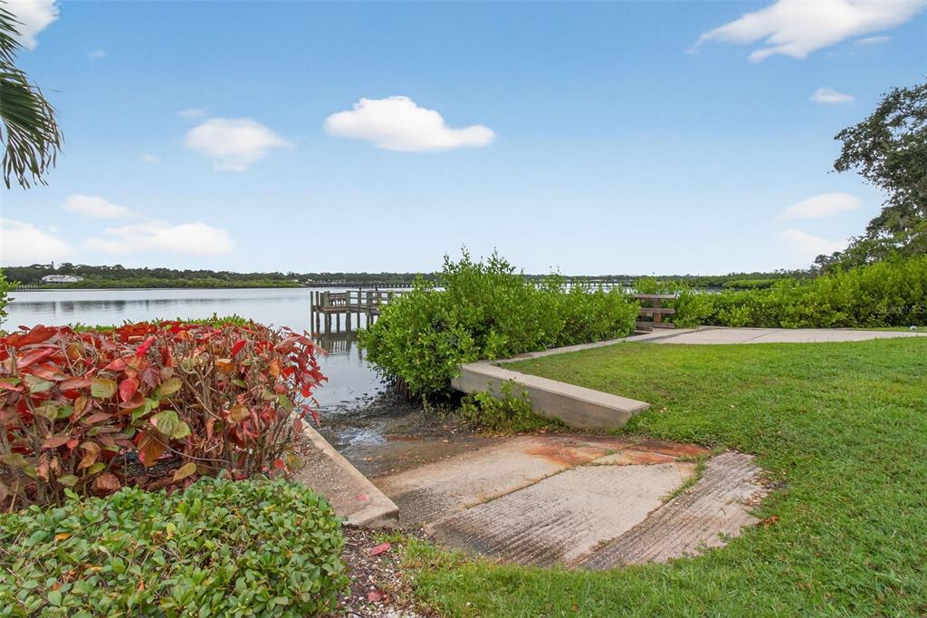 2007 Palm Key Avenue Oldsmar, FL 34677 - Photo 48 of 54 a view of a garden with a lake
