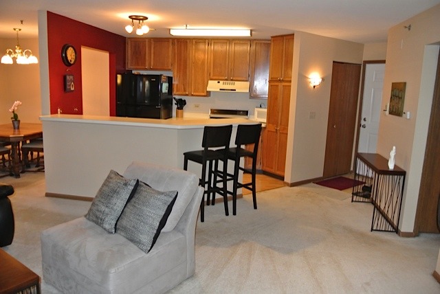 5S455 Scots Drive, Unit F Naperville, IL 60563 - Photo 2 of 12