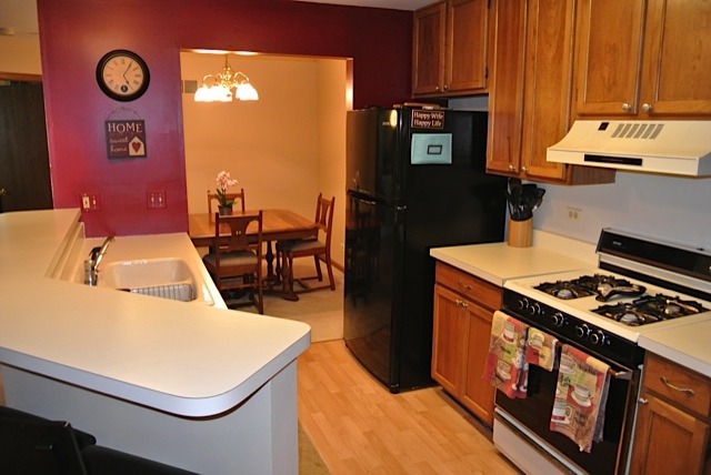 5S455 Scots Drive, Unit F Naperville, IL 60563 - Photo 3 of 12